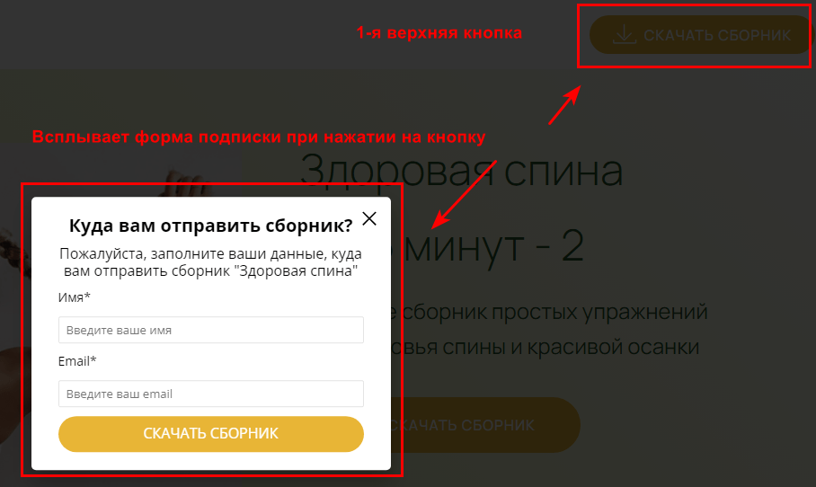 Как установить форму подписки на сайт Mobirise