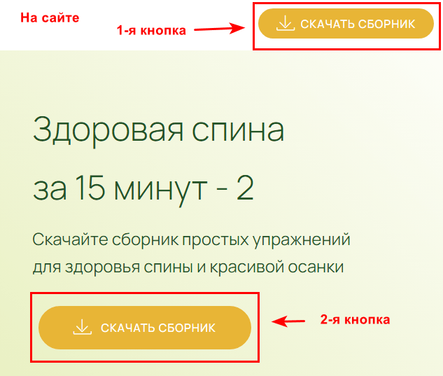 Как установить форму подписки на сайт Mobirise
